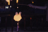 Rabbit lantern night light
